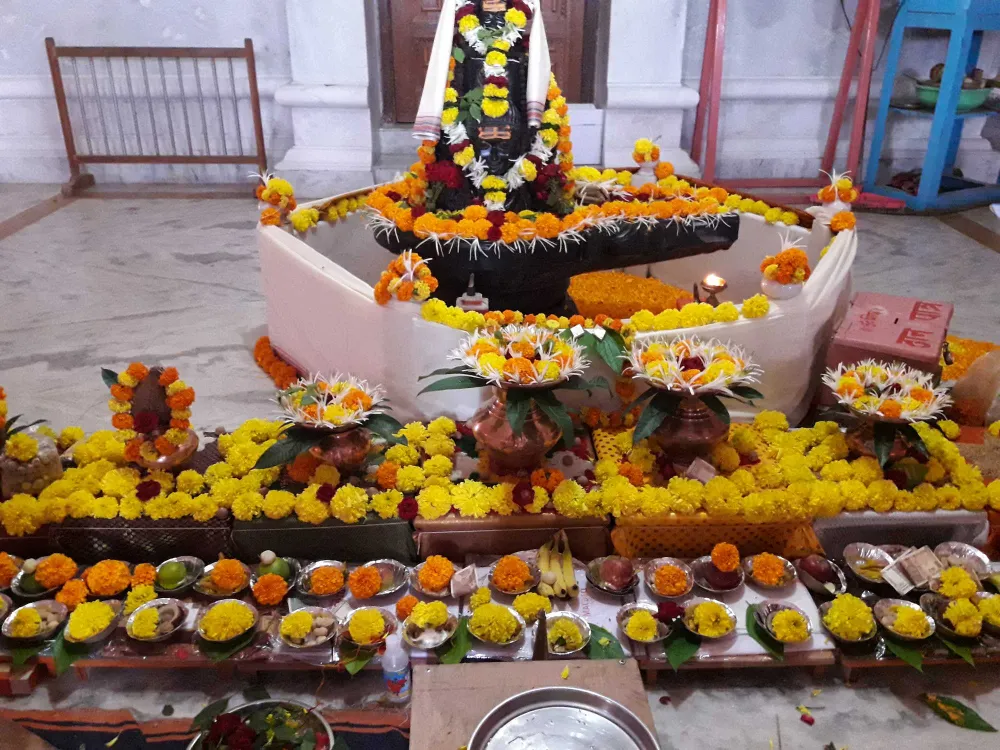 Mahamrityunjay Jaap Puja in Trimbakeshwar Temple